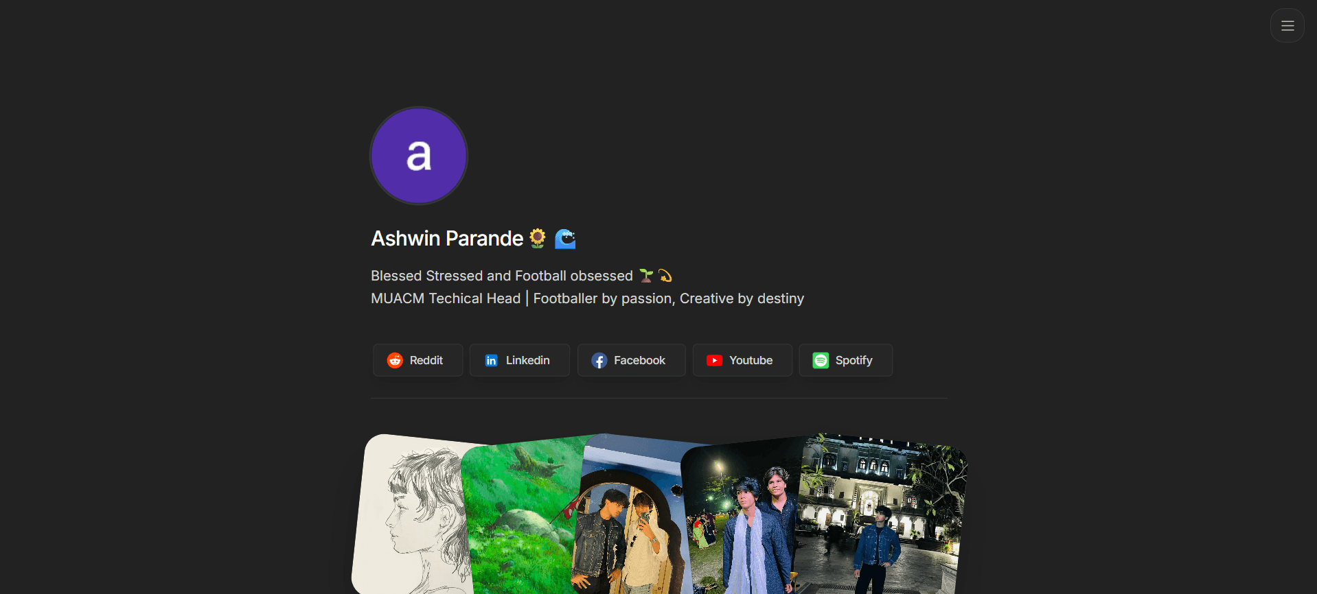 Profile preview